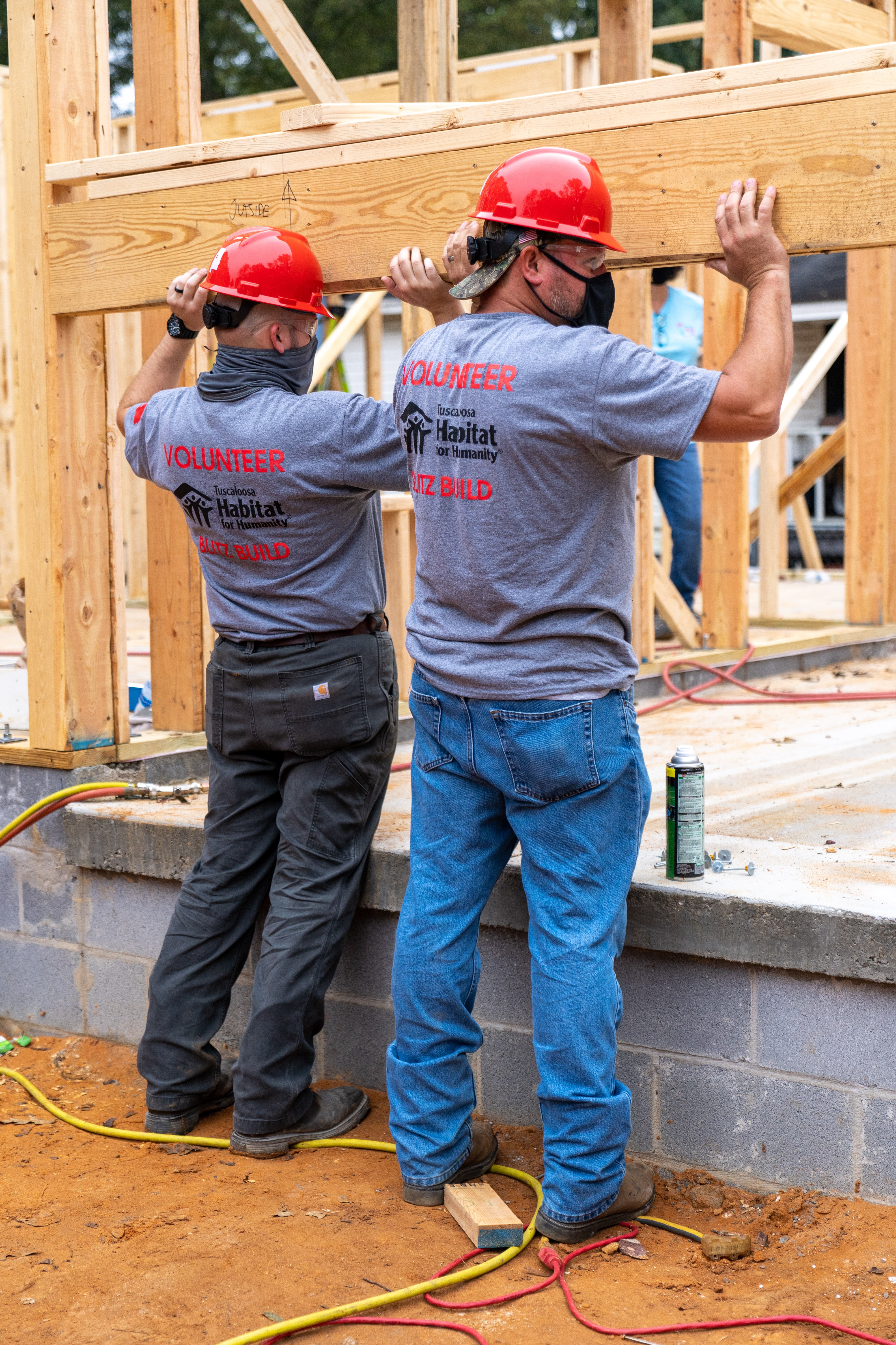 Employees volunteers at work