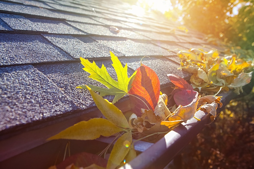 A gutter clogged with autumn leaves.