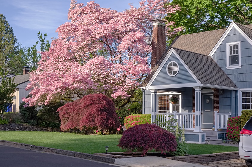 Family home and garden in Gresham Oregon surrounded in Spring colors.