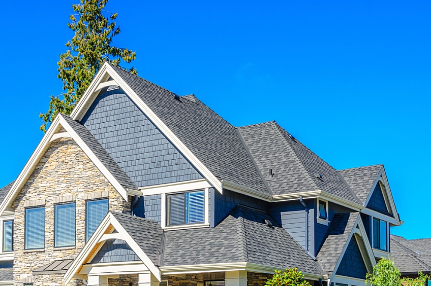 Graphic image of suburban-style houses in many colors against a grey city skyline.