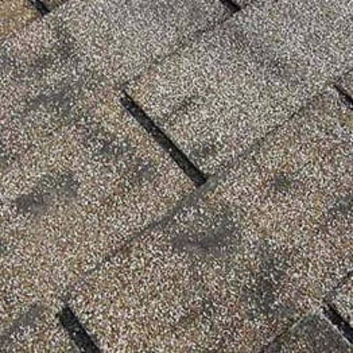 dark streaks on roof shingles