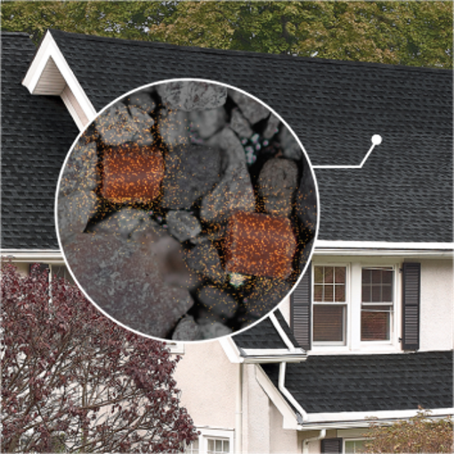 Close-up of the GAF time-release algae fighting technology on roof shingles.