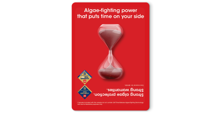 Algae fighting power educational pamphlet