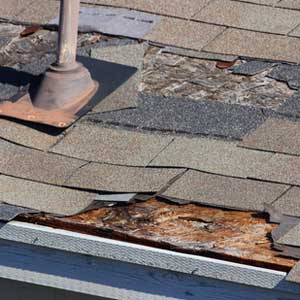 Roof Installation & Roof Repair Experts in Palm Harbor